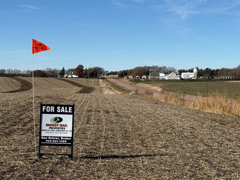 151.31 Acres Irrigated Cropland : Creighton : Knox County : Nebraska