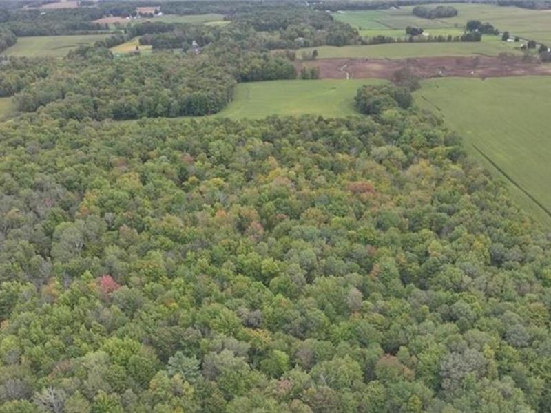 Large Acreage Opportunity : Granby : Oswego County : New York