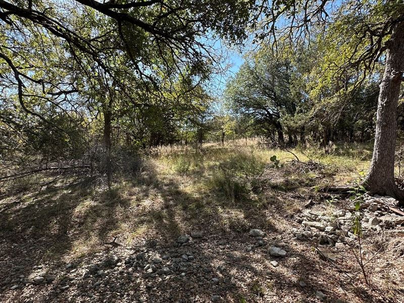 30 Acres of Beautiful Tree-Covered : Lampasas : Lampasas County : Texas