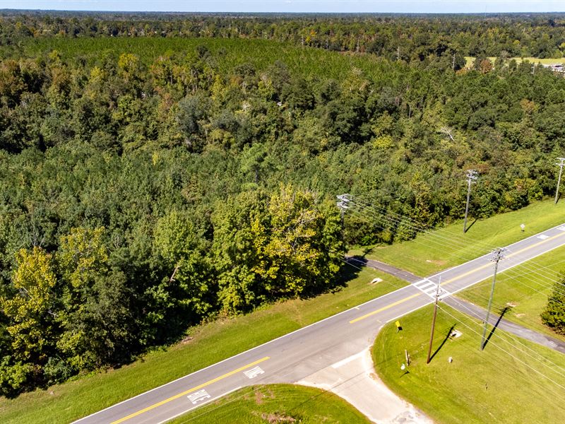 13 Ac Multi-Use Development Near Bl : Blountstown : Calhoun County : Florida