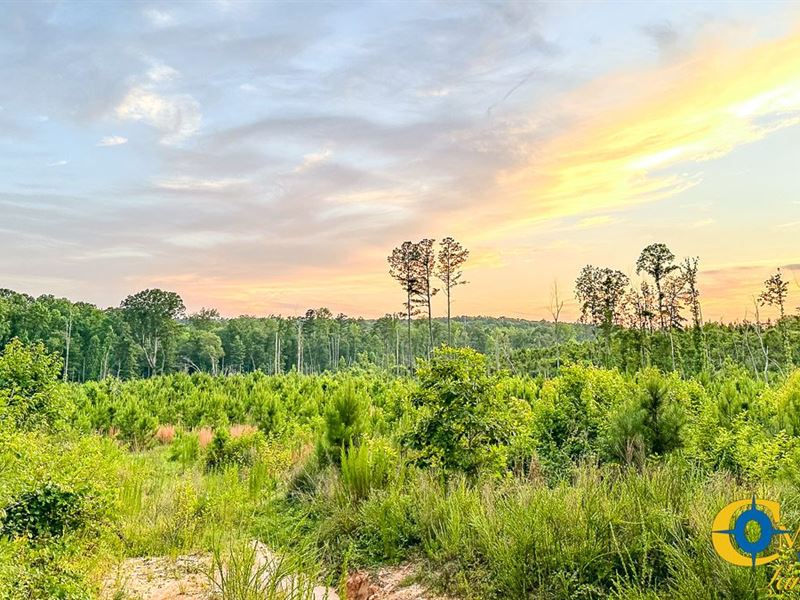 Sipes Ridge Retreat : Hornsby : Hardeman County : Tennessee