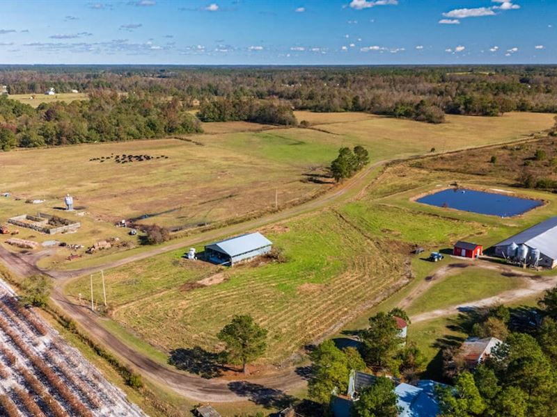 Turnkey Nursery Swine Farm with Ext : Pink Hill : Duplin County : North Carolina