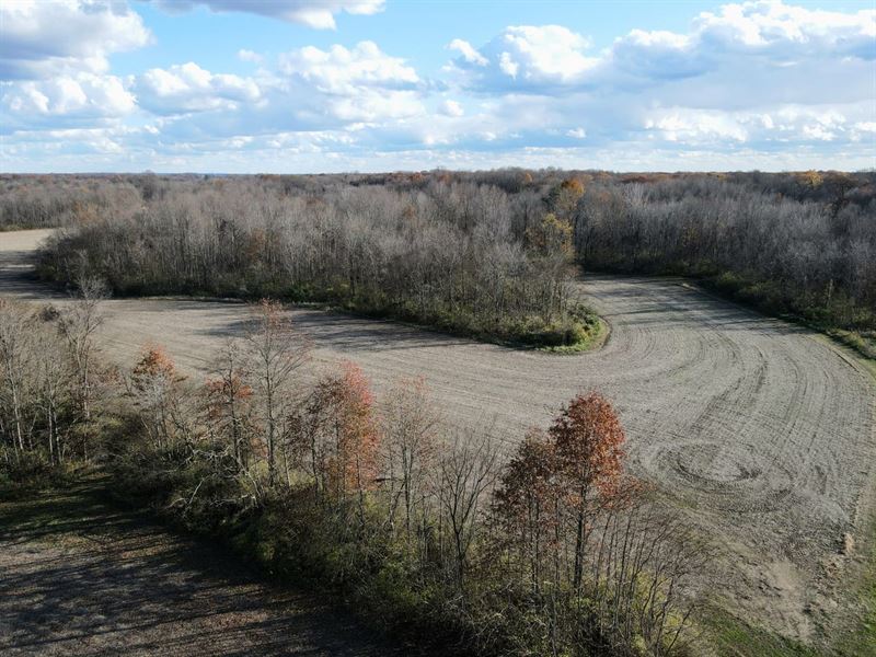 76 Acres of Prime Hunting Ground WI : Dennison : Clark County : Illinois