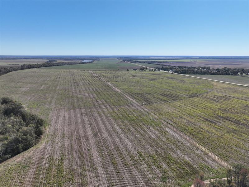 Elmwood Farm : Cruger : Holmes County : Mississippi