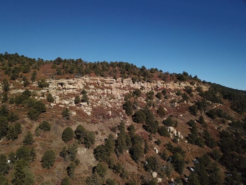 165 Timber Canyon : Trinidad : Las Animas County : Colorado