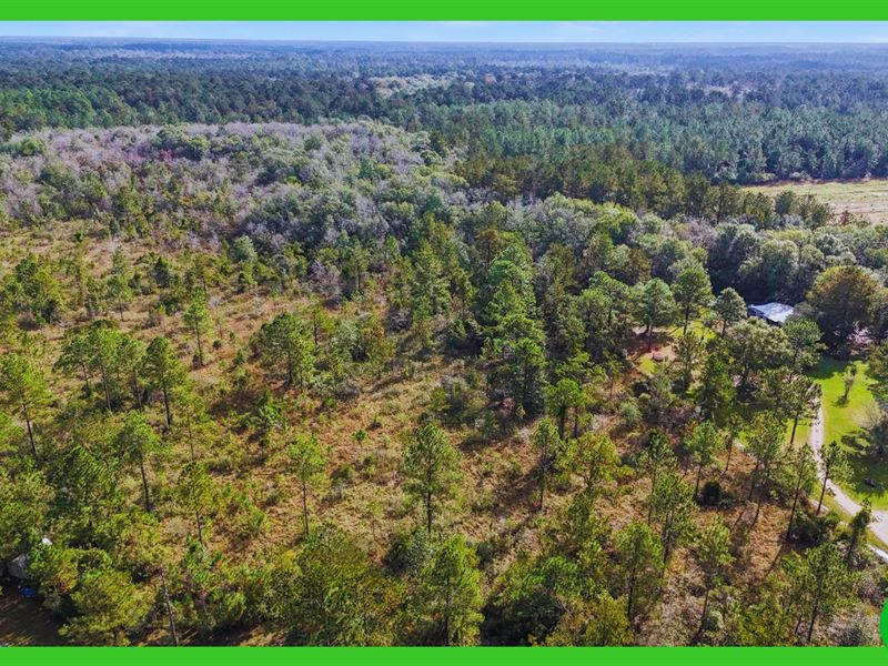 5 Acres Covington, Huge Potential : Covington : Saint Tammany Parish : Louisiana