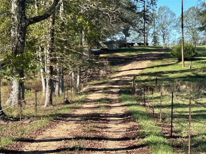 1057 Joel Lang Rd : Magnolia : Pike County : Mississippi