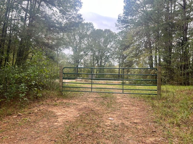 212 Acres in Amite County, MS : Crosby : Amite County : Mississippi