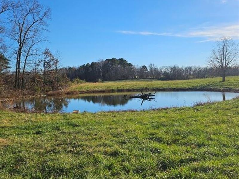 Pristine 30 Acres Pasture with Pond : Norwood : Wright County : Missouri