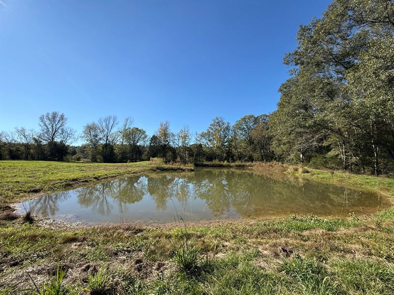 54.7 Acres in Hinds County, MS : Utica : Hinds County : Mississippi