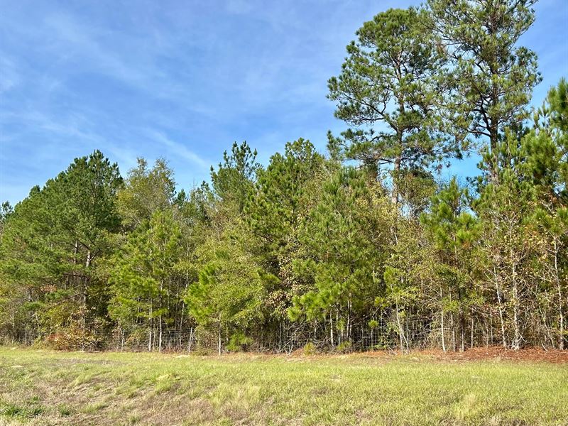 39 Acres in McDuffie County, GA : Thomson : McDuffie County : Georgia