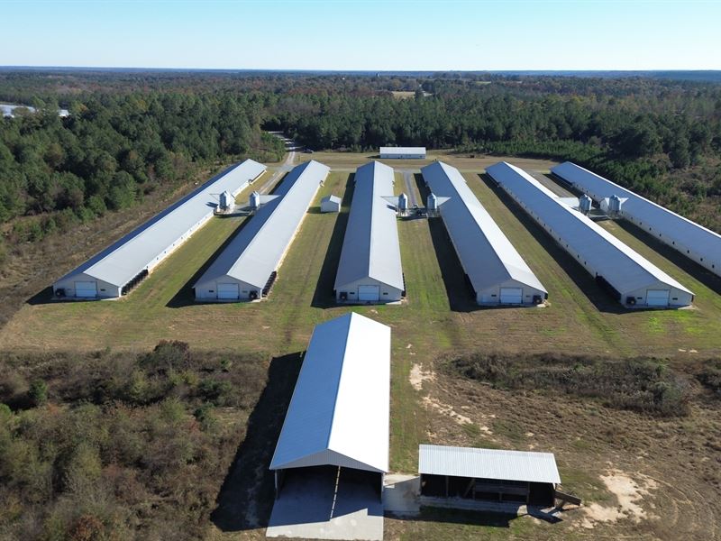 6 House Broiler Farm on 160 Acres : Ideal : Macon County : Georgia