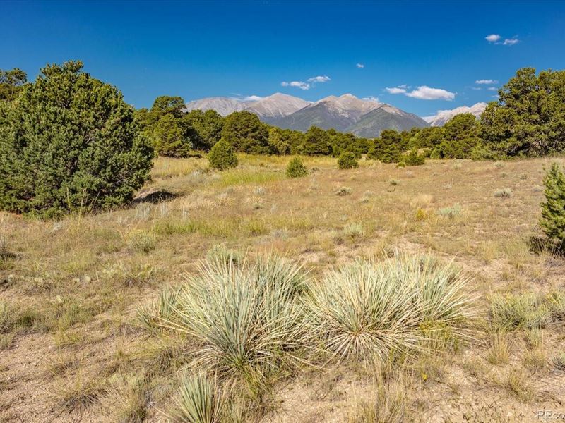 Acreage, Solitude & Close to Town : Salida : Chaffee County : Colorado