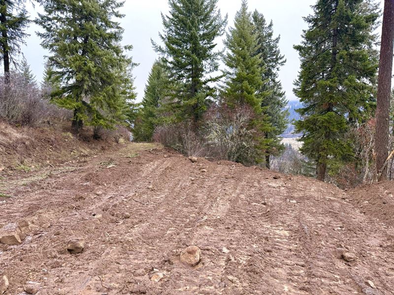 1684 Tranquil Lane : Orofino : Clearwater County : Idaho