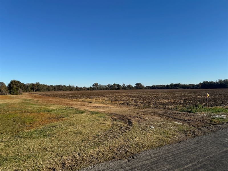 La, Richland 40 Acres : Bee Bayou : Richland Parish : Louisiana