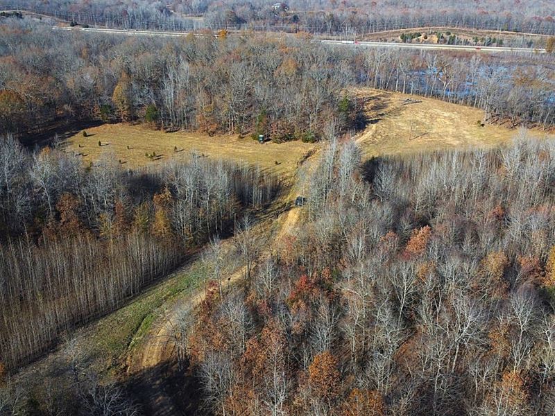 28 Acres for Sale in Butler Co : Poplar Bluff : Butler County : Missouri