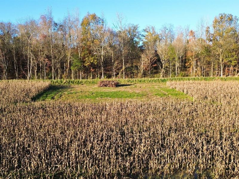 Private Duck Hole : Big Sandy : Benton County : Tennessee