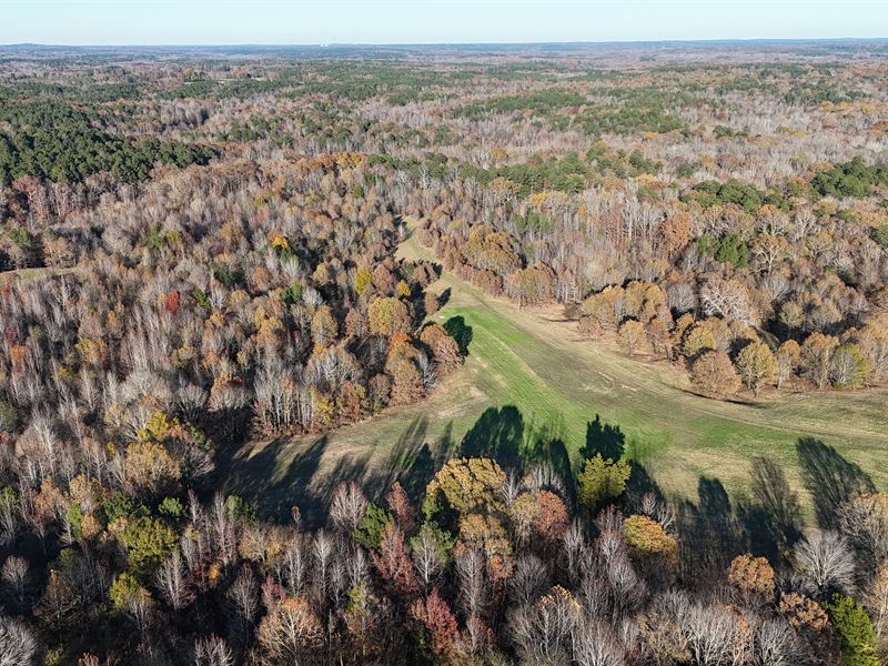 81.89 Acres in Benton County, MS : Potts Camp : Benton County : Mississippi