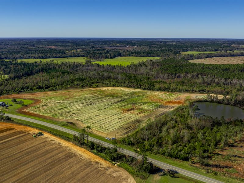 New Branch Farm : Lyons : Toombs County : Georgia