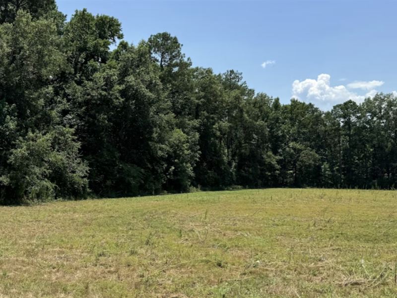 12.74 Ac in Orangeburg County, SC : Santee : Orangeburg County : South Carolina