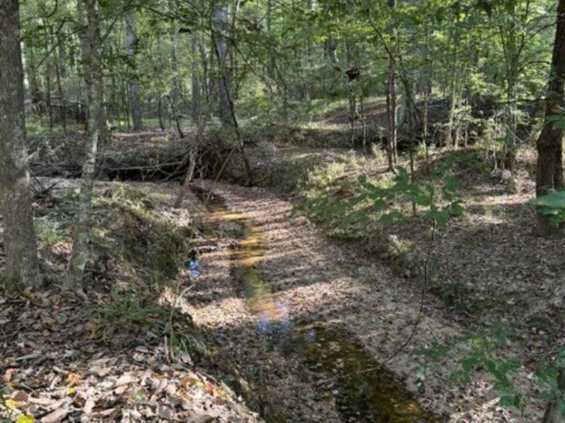 Claiborne County Recreational Land : McBride : Claiborne County : Mississippi