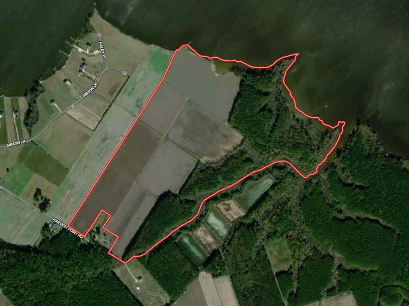 170 Acres of Farm Hunting and Devel : Elizabeth City : Pasquotank County : North Carolina