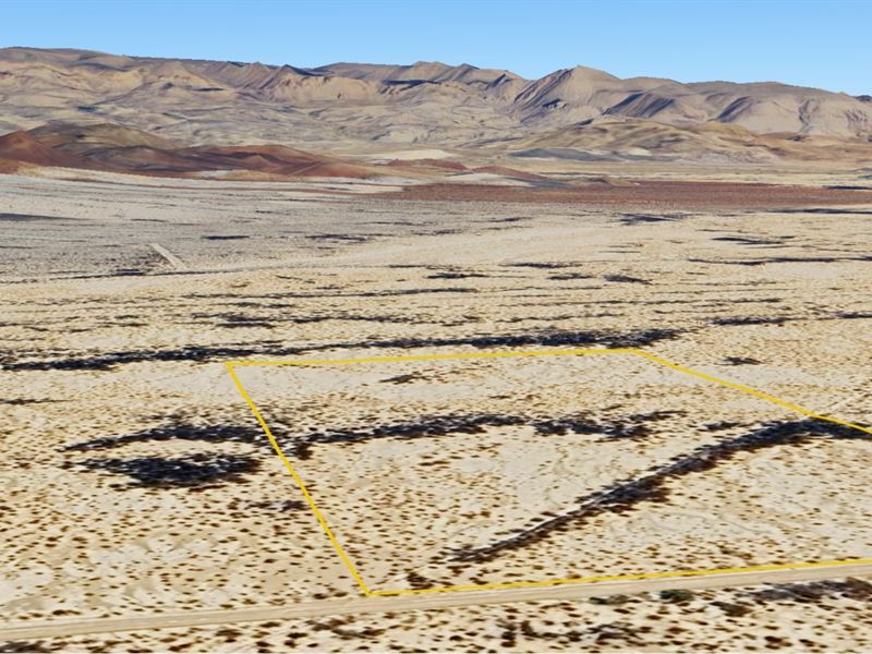 Camp Under The Stars Near Big Bend : Terlingua : Brewster County : Texas