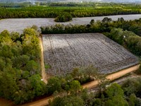 Old Magnolia Farm : Statesboro : Bulloch County : Georgia