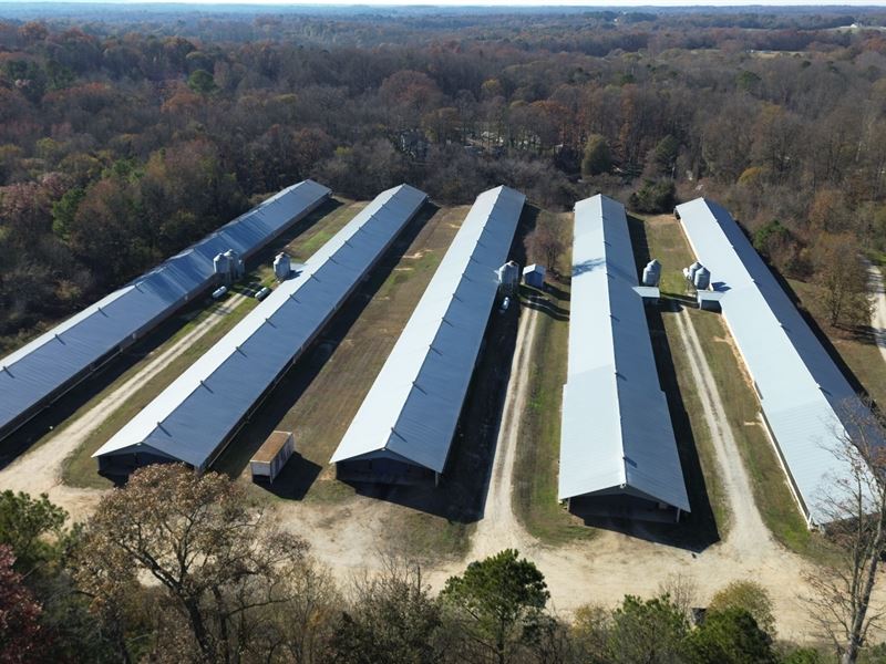 5 House Broiler Farm in Nicholson : Nicholson : Madison County : Georgia