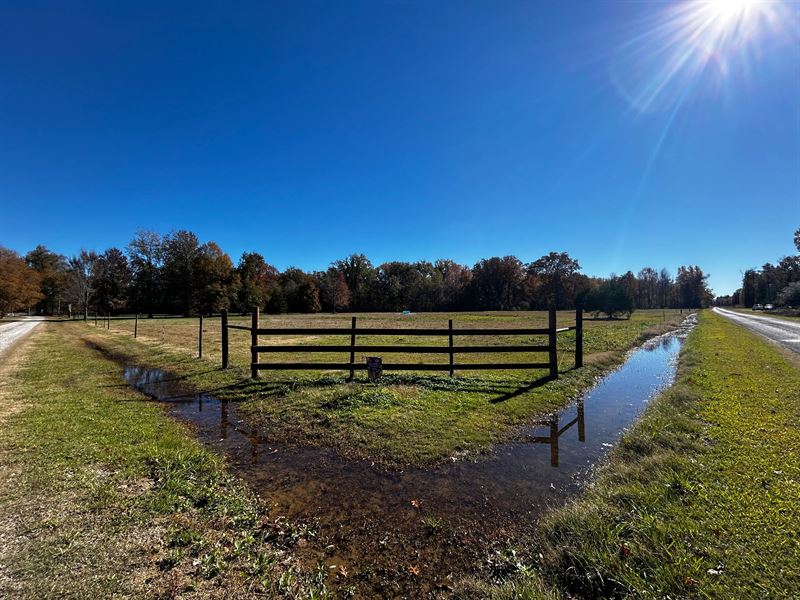 La, Richland 90 Acres : Delhi : Richland Parish : Louisiana