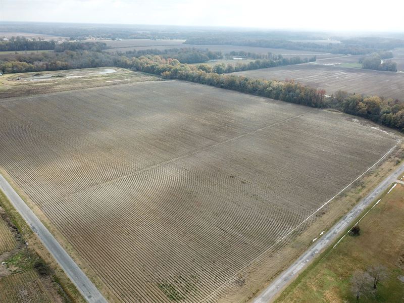 La, Richland 35 Acres : Rayville : Richland Parish : Louisiana