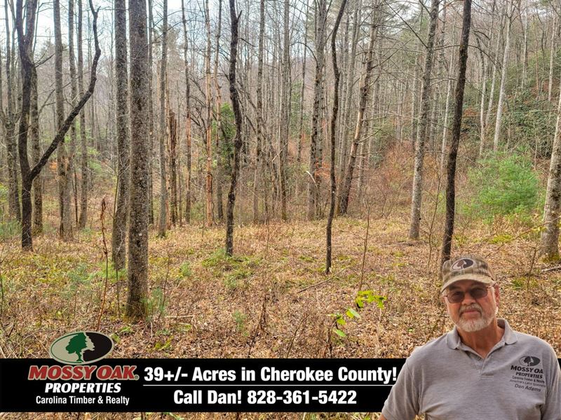 39.06 Unrestricted Acres with Usf : Marble : Cherokee County : North Carolina