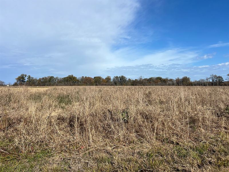 La, Richland 28.8 Acres : Holly Ridge : Richland Parish : Louisiana