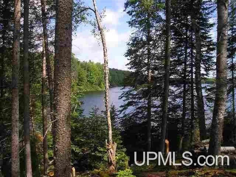 Michigan 93.9 Acres on Private Lake : Michigamme : Baraga County : Michigan