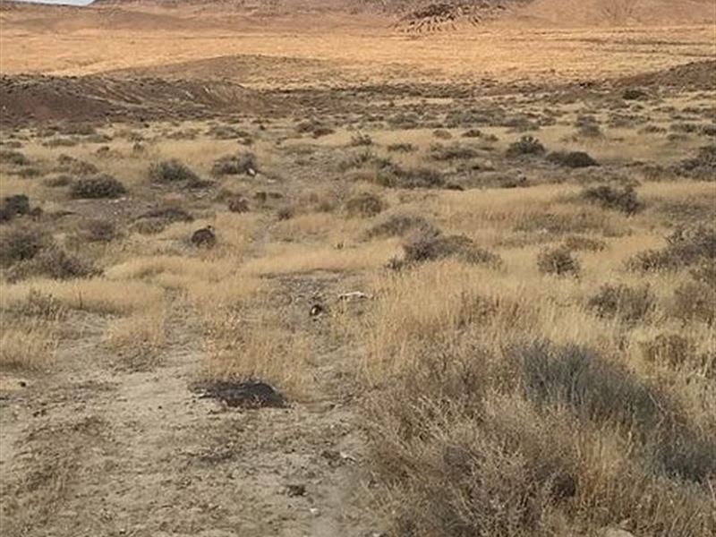 Desert Land for Ranch & Recreation : Lovelock : Pershing County : Nevada