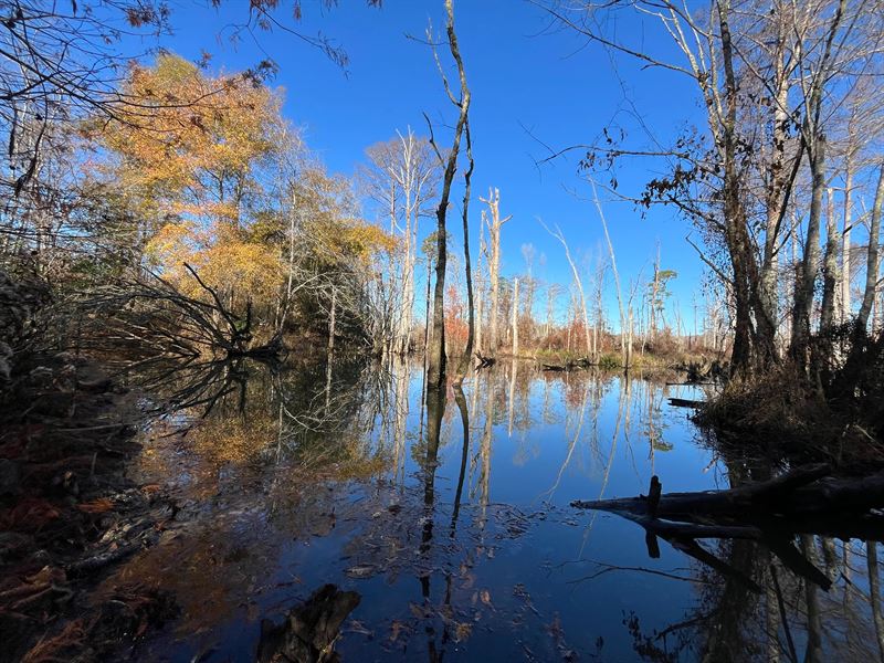 147.16 Acres in Jackson Parish, LA : Quitman : Jackson Parish : Louisiana