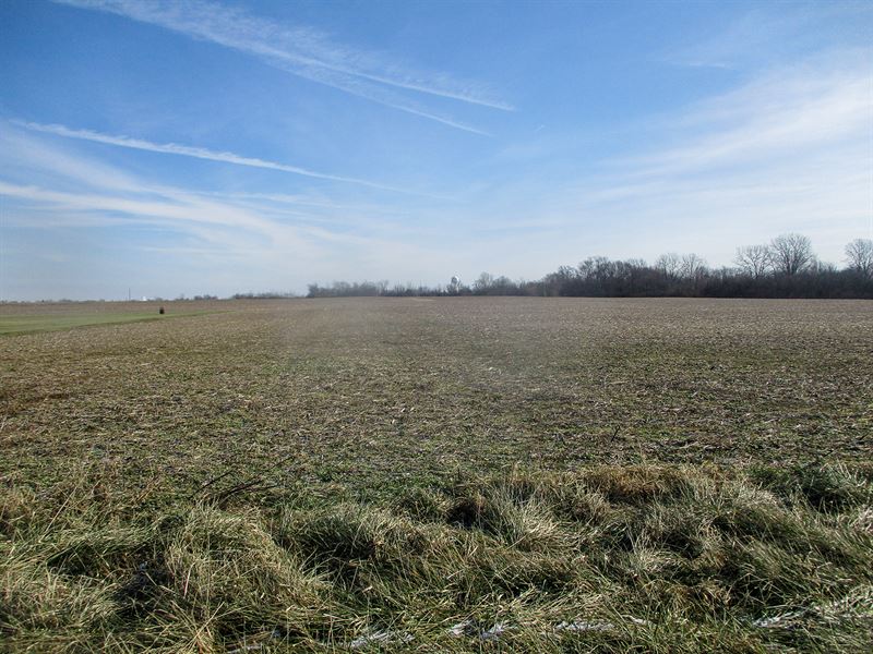 39.9+/- Acres 1 Tr Wayne County, In : Centerville : Wayne County : Indiana