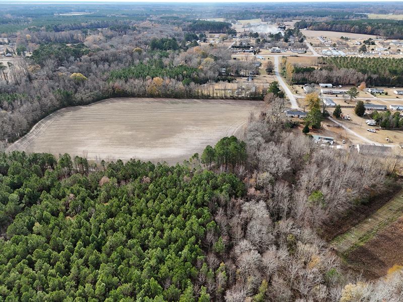 Investment Tract in Eastern NC : Grimesland : Beaufort County : North Carolina