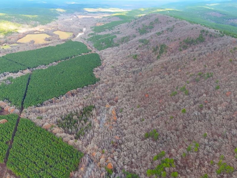 Fourche River 40 : Parks : Scott County : Arkansas