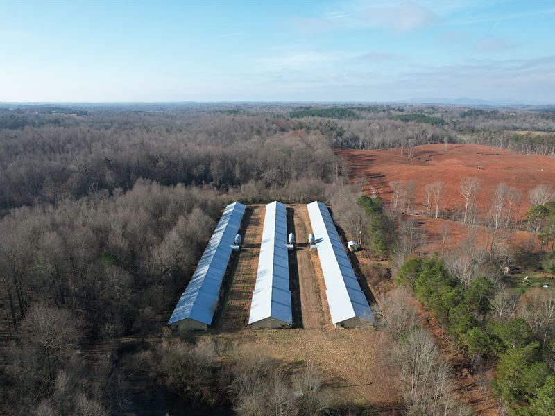 19 Acres, Habersham County, GA : Cornelia : Habersham County : Georgia