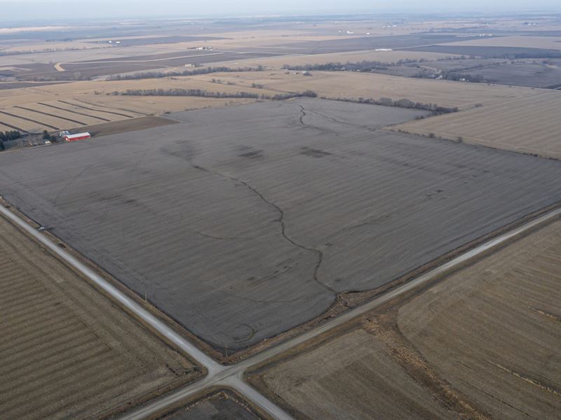 The Davis 126 Pankoke Farm : Winfield : Henry County : Iowa