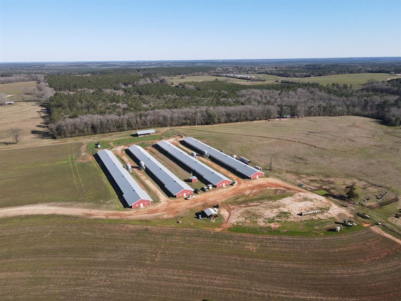 Buck Creek Breeder Farm : Red Level : Covington County : Alabama