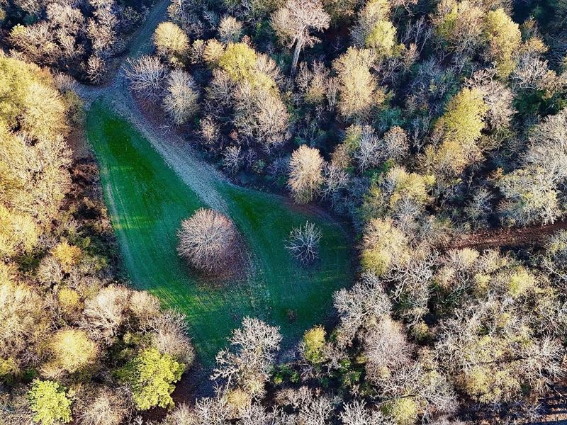 Duck and Deer Hunting Property : Pollock : Grant Parish : Louisiana