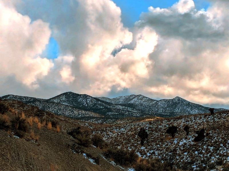 Grow & Prosper on 10 Ac in NV : Loray : Elko County : Nevada