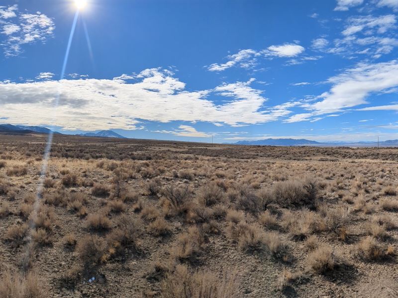 Realize Your Dreams on 10 Ac in NV : Wells : Elko County : Nevada