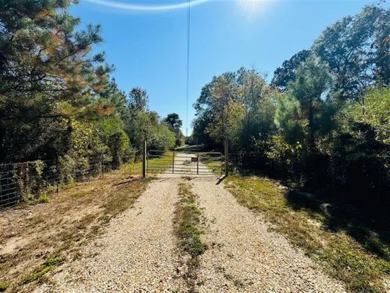 Cabin & 13.15 Acres / Small Cab : Tylertown : Walthall County : Mississippi