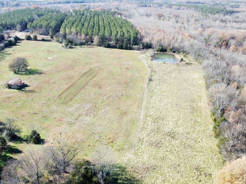 Hatton Homestead Tract 4C : Town Creek : Lawrence County : Alabama