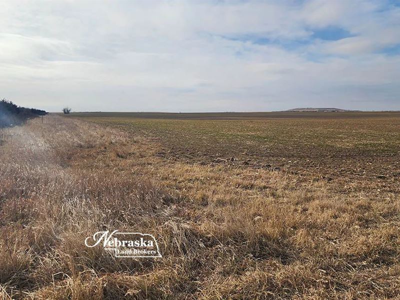 Perkins County Line Organic Farm : Ogallala : Perkins County : Nebraska