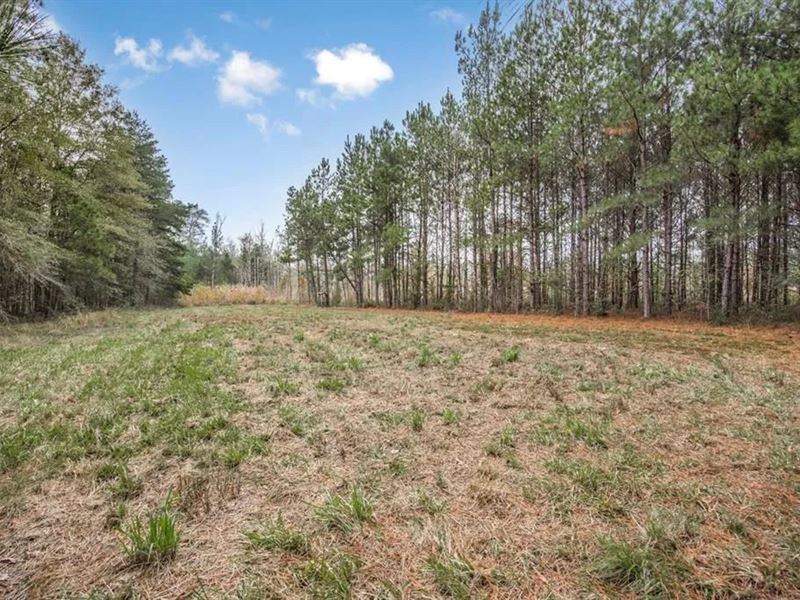 100 Acres with Camp for Sale : Harrisville : Simpson County : Mississippi