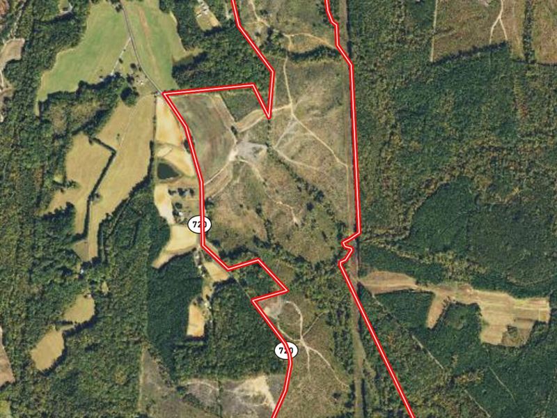 185.44 Acres of Recreational, Hunti : Scottsburg : Halifax County : Virginia